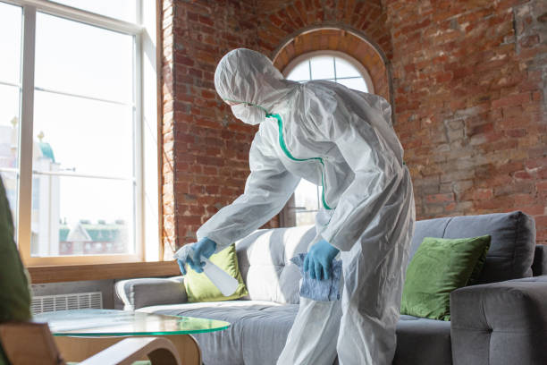 Best Asbestos and Lead Testing During Mold Inspection  in English, IN