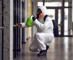 Best Emergency Mold Remediation  in English, IN